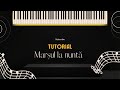 Marșul la nuntă Tutorial Acordeon