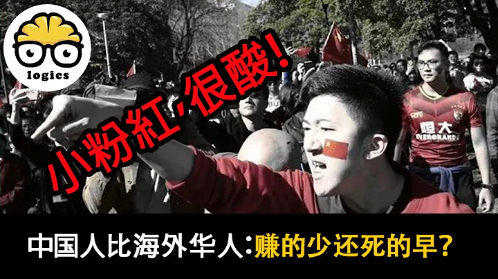 用数据说话：海外华人是二等公民？没有祖国，你什么都不是？ - 天天要闻