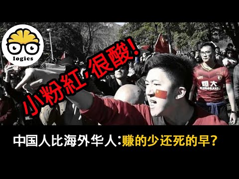 用数据说话：海外华人是二等公民？没有祖国，你什么都不是？