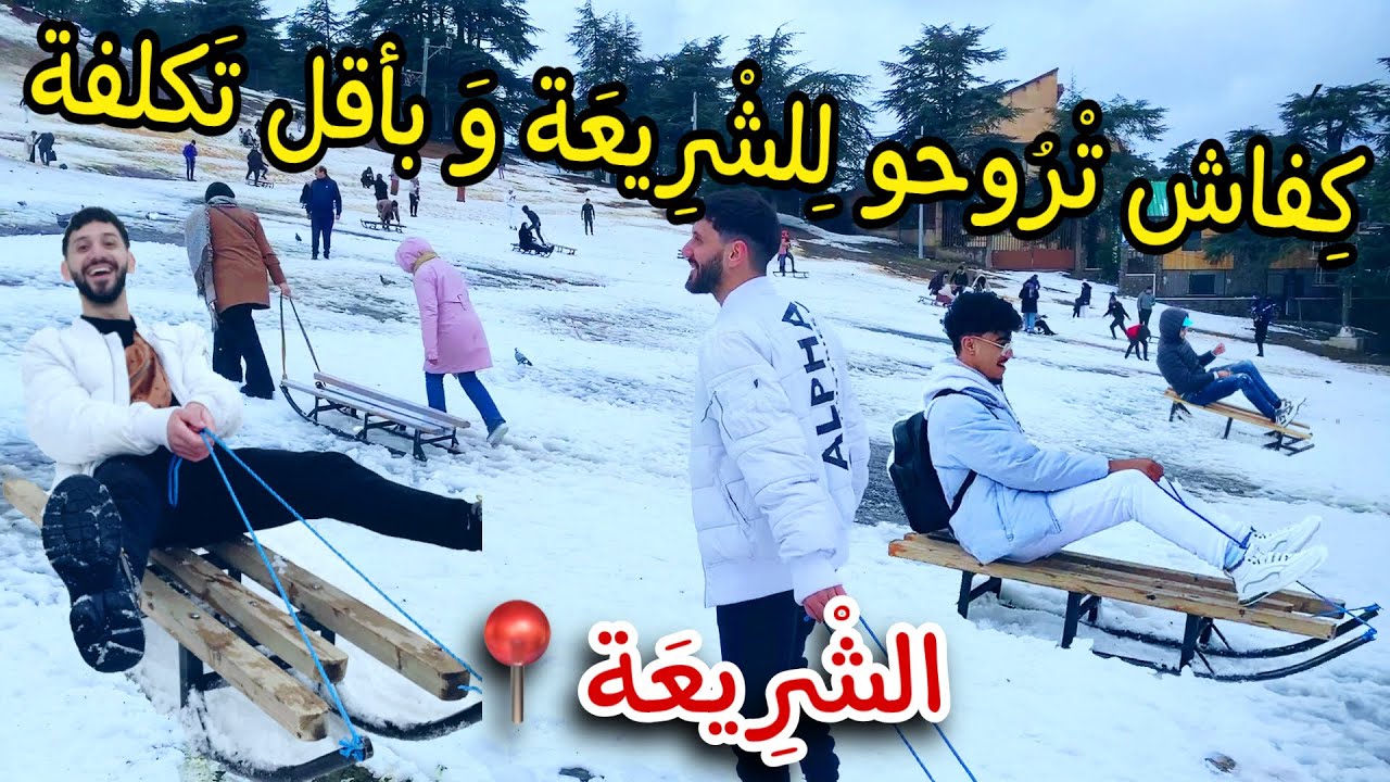 كيفاش تروحو للشريعة وباقل التكاليف ( يوم كامل في جبال الشريعة "البليدة" ) 