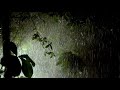 DOCTOR FOR SLEEP With Heavy Rain On Leaves & Night Thunderstorm In Forest - Rain On Dark Screen