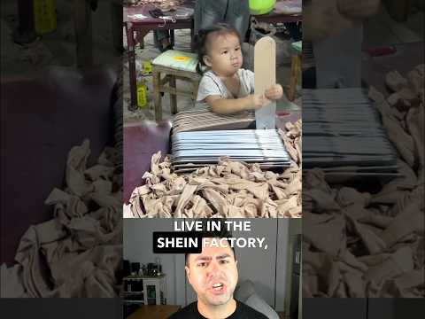 SHEIN senior employees
