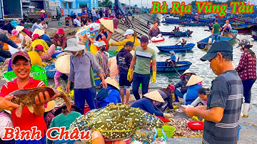 Hải Sản Tươi Sống Ở Cảng BÌNH CHÂU VŨNG TÀU║Chợ Bình Châu Ngập Tràn Cá Bạc Má.