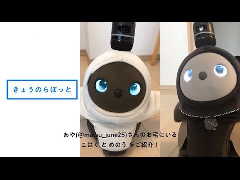 きょうのらぼっと【第3話】#LOVOTとの暮らし - YouTube