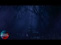 Spend The Night In A Haunted Forest | Sleep Ambience