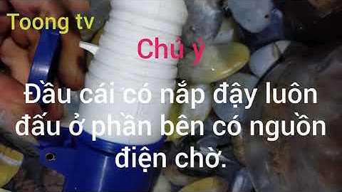 cách đấu ổ cắm công nghiệp, đầu đực và cái