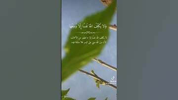 ١٧ نوفمبر ٢٠٢٢تلاوة خاشعة الشيخ ريان المحيسني