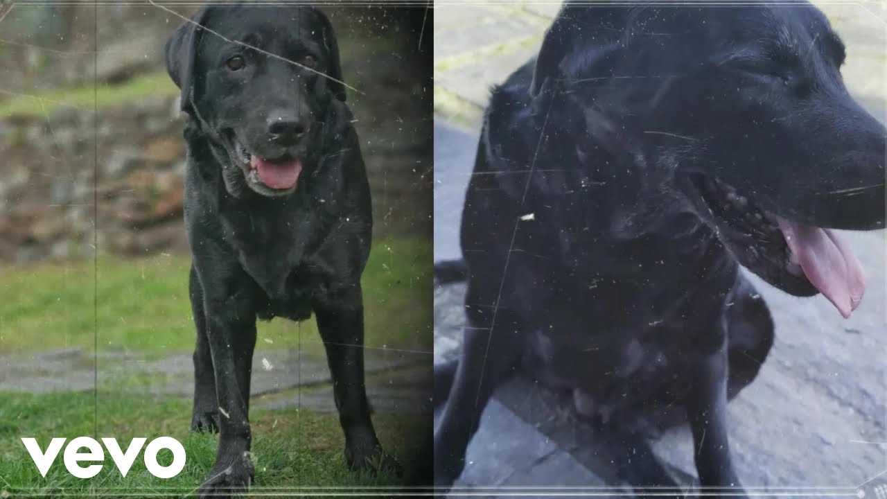 kandrax - Il Ponte dell'Arcobaleno (Official Music Video)