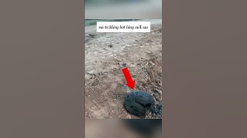 Cách thông tắc cống bị nghẽn của người thông minh