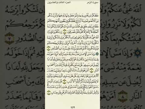 سورة الزمر من الآية ٦ إلى الآية ١٠بصوت القارئ ماهر المعيقلي