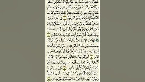 سورة الزمر من الآية ٦ إلى الآية ١٠بصوت القارئ ماهر المعيقلي