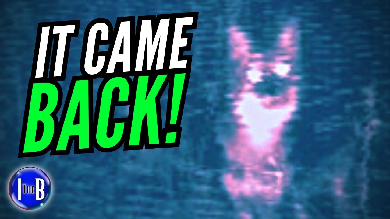 The SKINWALKER That STALKED Her For A DECADE