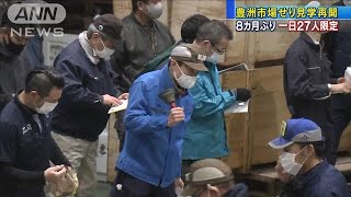マグロせり見学再開　豊洲市場で一日27人限定(2020年11月2日)