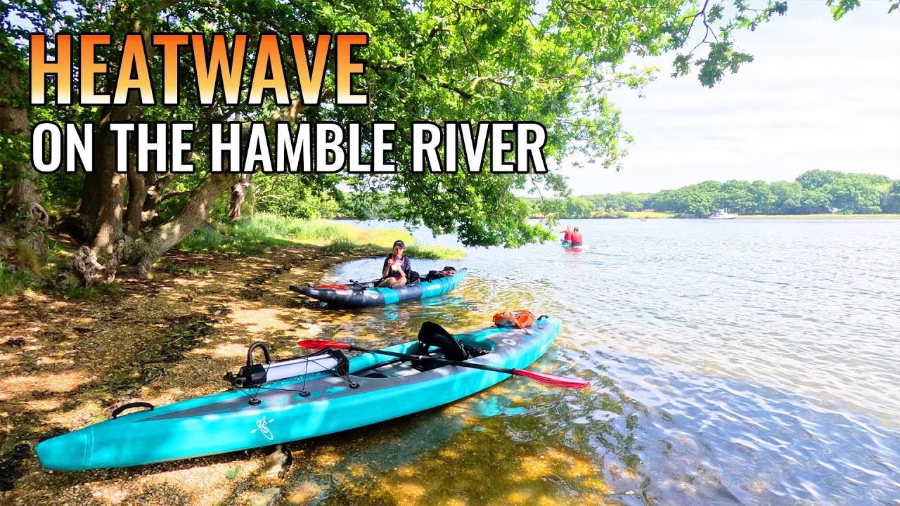 Idyllic Paddle And Surrounded By Birds On The River Hamble