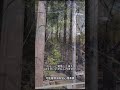 いつ来ても、Punch君を見るためには長い列に並ばなければなりません。市川市動植物園の入園料はこれから値上がりするのでしょうか。不管什麼時候來， 都要排好長的隊。市川動植物園的門票之後會不會漲價呢？
