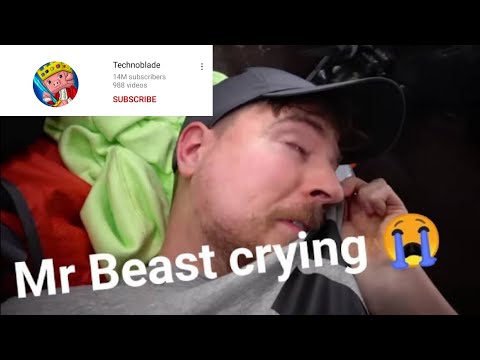 @MrBeast Last Message To @Technoblade  😭 | Mr Beast Cry