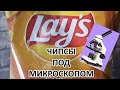 Чипсы под микроскопом