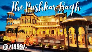 The Pushkar Bagh Resort | Best Resort in Pushkar Ajmer | Cheap Resort in Pushkar| Pushkar Vlog