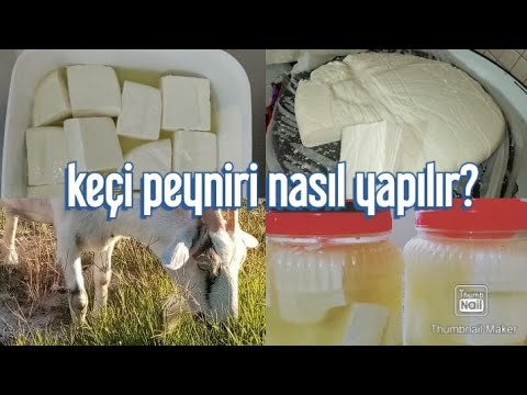 Video: Keçi Peyniri: Kolay Hazırlık Için Adım Adım Fotoğraf Tarifleri