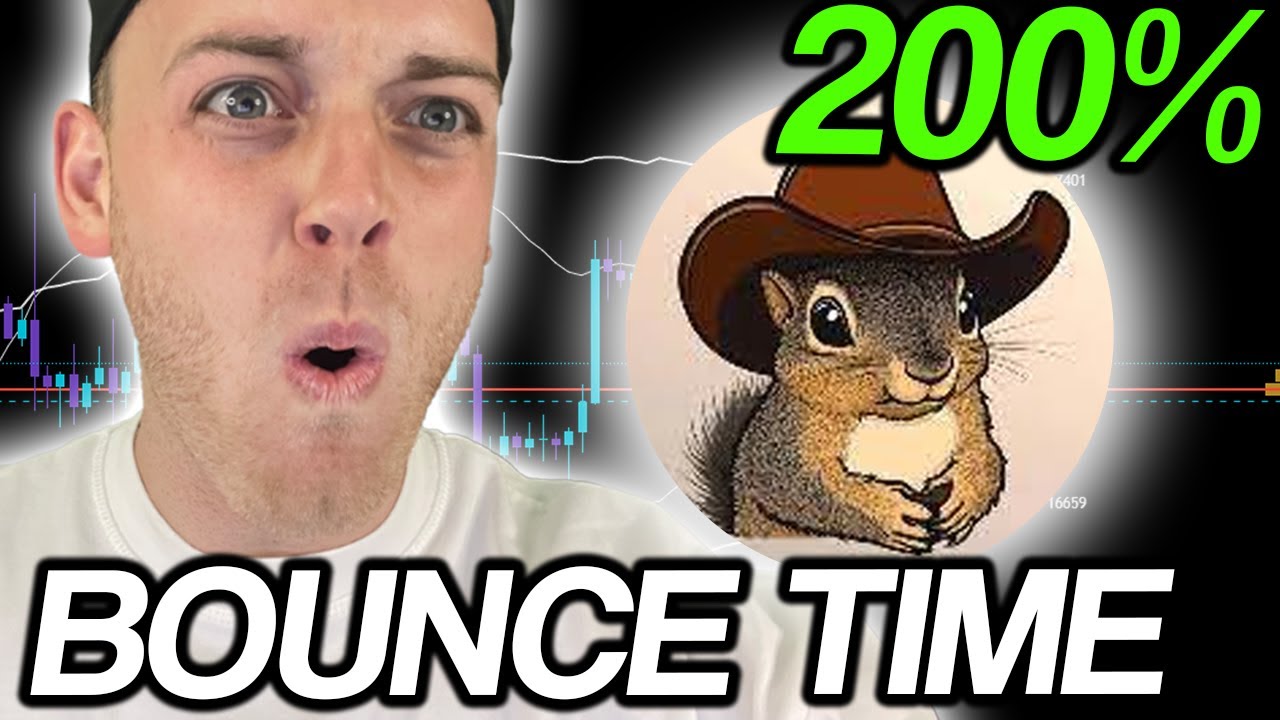 PNUT Drops 22% as $BEST Emerges as Best Crypto Wallet for Utility