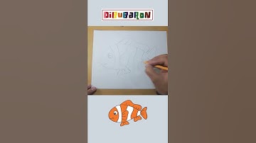 How to draw a clown fish step by step | Easy drawing | Quick draw