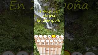 Video thumbnail of "Himno a la alegría de Ludwig van Beethoven en Zampoña #shorts"