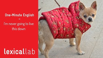 ONE-MINUTE ENGLISH: I