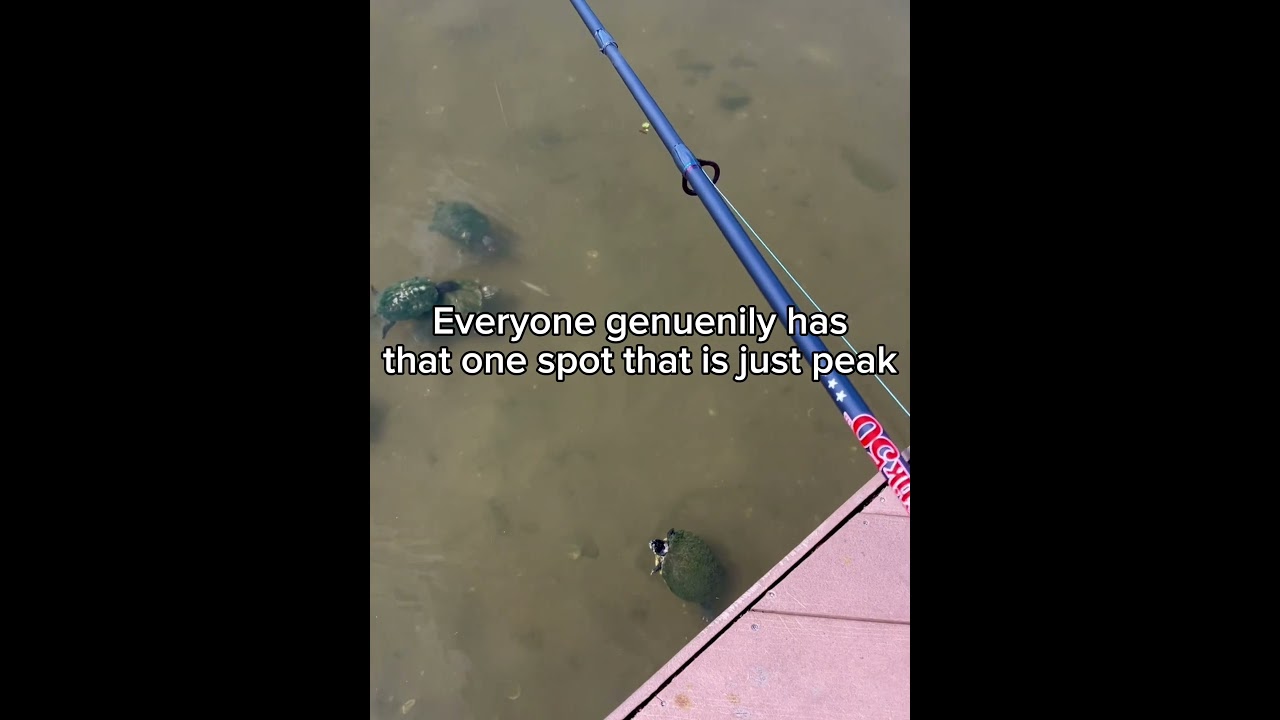 That one spot bro #fishing #relatable #goviral #fyp #beginner