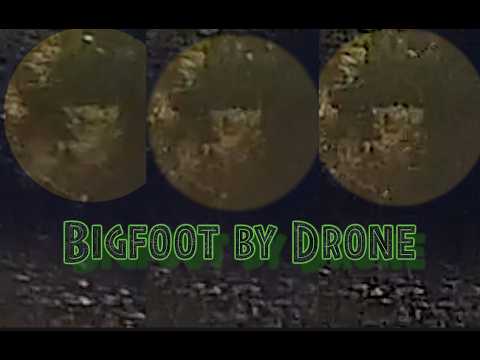 Expedition Bigfoot By Drone: In 2018 A Phantom 4 Flight Yeilds Footage Of Creatures Watching Drone