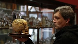 Невзоров. Искусство оскорблять. Лондон. Невзоров. Искусство оскорблять. Лондон.
