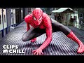 Why Tobey Maguire S Spider Man Is Still The GOAT Best Action Fight Scenes