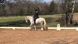 How to Use Turns on the Forehand to Improve Suppleness and Connection in Your Horse