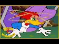 Woody Woodpecker Show | Pecking Order | 1 Hour Compilation | Cartoons For Children