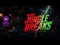 SUBSPACE DRIFT RADIO | City Storm | Hard Jungle Breaks Mix w/ Katalina