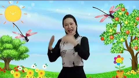 DẠY VẬN ĐỘNG VỖ TAY TIẾT TẤU CHẬM.  BÀI CON CHUỒN CHUỒN