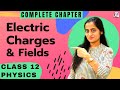 Electric Charges and Fields | Complete Lesson in ONE Video | CBSE Class 12 Physics Chapter 1
