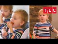 Quint chaos top moments  outdaughtered  tlc