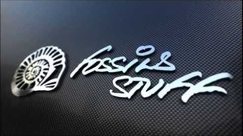 FSGX210 - Betaflight 3.0 RC6 - DVR