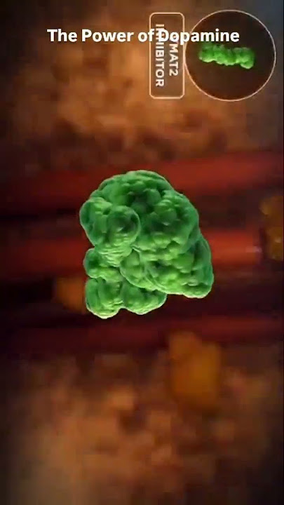 Dopamine harmon.#neettopper #biology