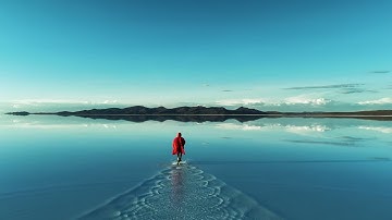 Mogli - paradox (official visualizer)