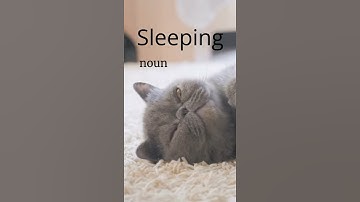 Sleeping - Funny Definitions of Words Video - Humorous Definition- Funny Videos 2021 #shorts