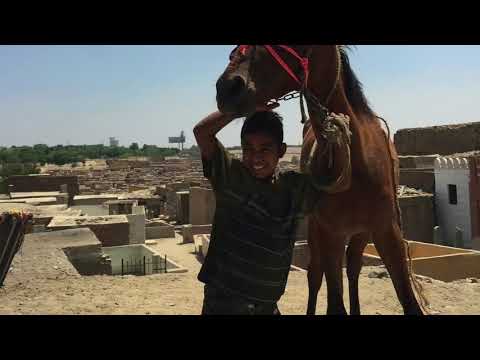 يا بلادي فايزة أحمد    
