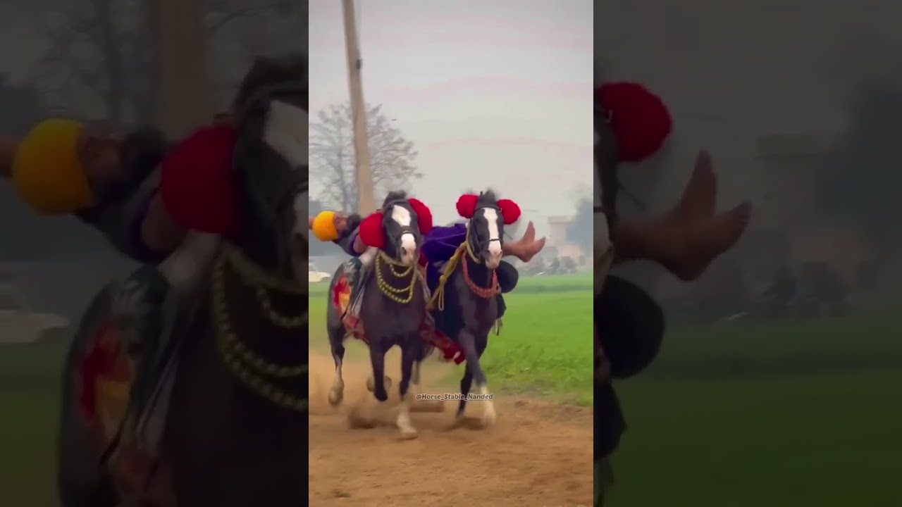 Watch TARNA DAL || NIHANG SINGH || HORSE STABLE NANDED on YouTube Watch TARNA DAL || NIHANG SINGH || HORSE STABLE NANDED on YouTube
