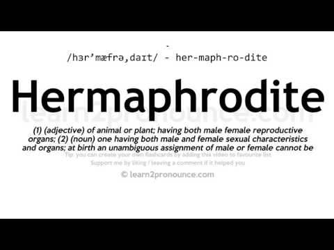 Pronunciation of Hermaphrodite | Definition of Hermaphrodite