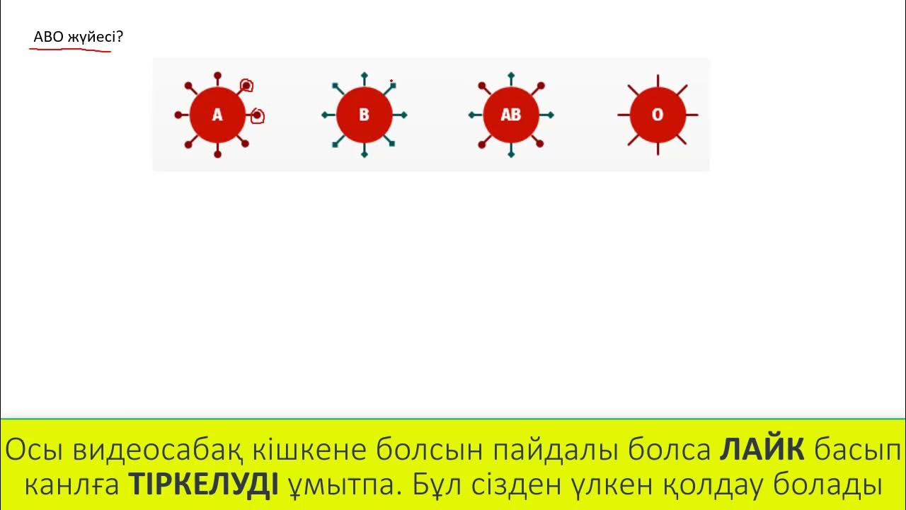 Порнодағы экстремалды позициялар