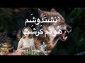 موسيقى التأمل لتدفق الرزق وقوة النفوذ | سعادة الأسرة وبركة العمل🌟#تدفق_الرزق #قوةالنفوذ #سعادةالأسرة