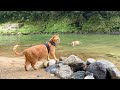 【猫キャンセル界隈】初めて行った秘境でもとんでもない行動をする愛猫が可愛いw