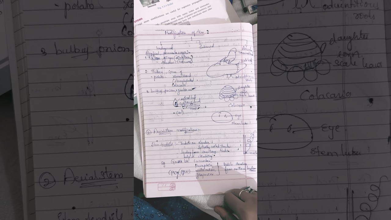 Underground and sub aerial stem modifications