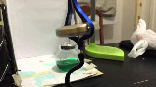 Precessing Gyroscope