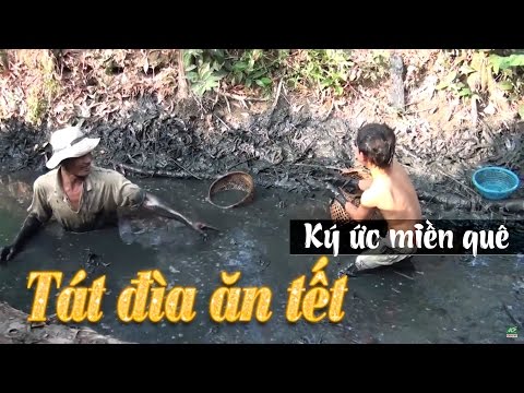 Ký ức miền quê | Tát đìa ăn tết | THKG